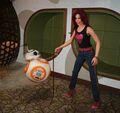 pet_bb83_rs.jpg