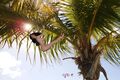 Filename=S_C_008_s.jpg
Filesize=191KiB
Dimensions=1023x682
Date added=Aug 28, 2021 S_C_008_s.jpg
