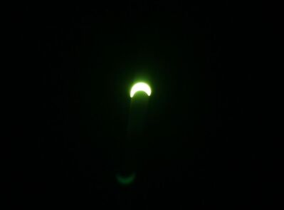 IMG_8659_a.jpg