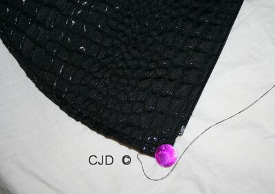 SD252002.jpg