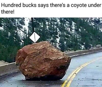thumbnail_coyote_vs_road_runner.jpg