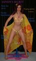 Sandy_s2520secret2520a0008s.jpg