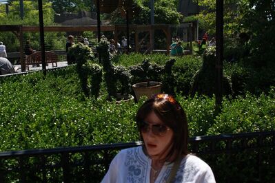 Toledo Zoo
