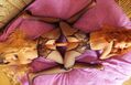 DSCF4474.JPG