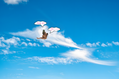 14_sky-_cloud_ride_1_upscayl_1x_upscayl-standard-4x.png
