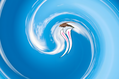 17_sky-_cloud_ride_1_upscayl_1x_upscayl-standard-4x.png